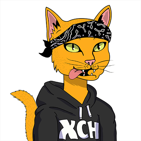 space time cats nfts