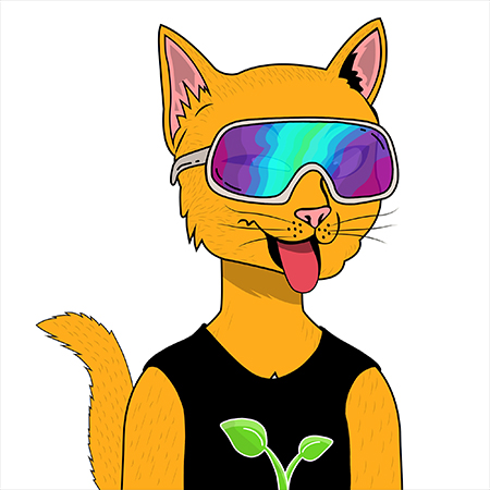 chia nft collections